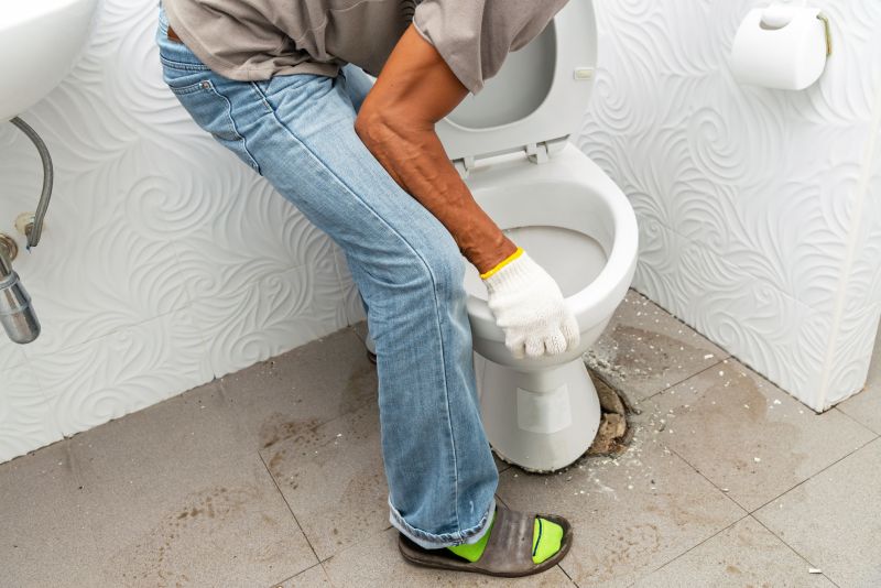 Toilet Lid Installation
