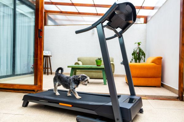 Treadmill Installation in Cartersville