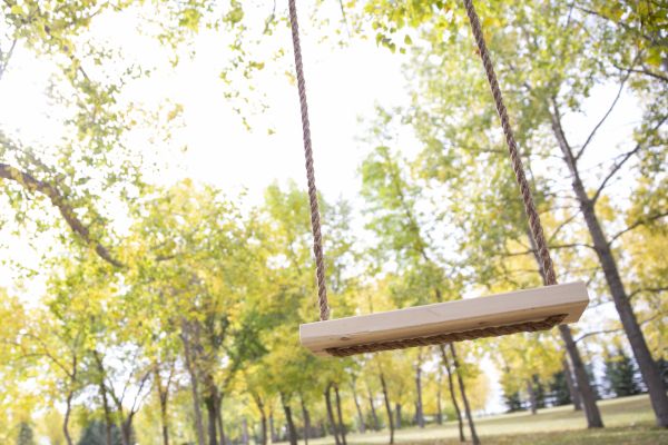 Swing Installation in Cartersville
