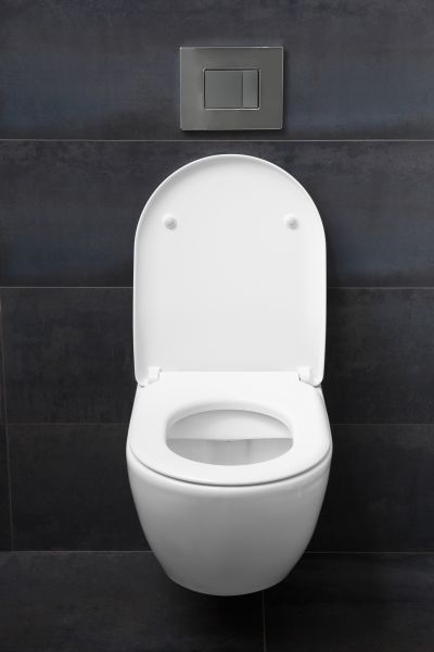 Toilet Lid Installation in Cartersville