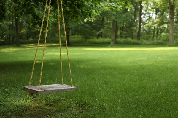 Rope Swing Installation in Cartersville