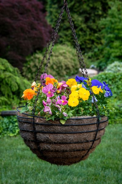 Hanging Basket Installation in Cartersville