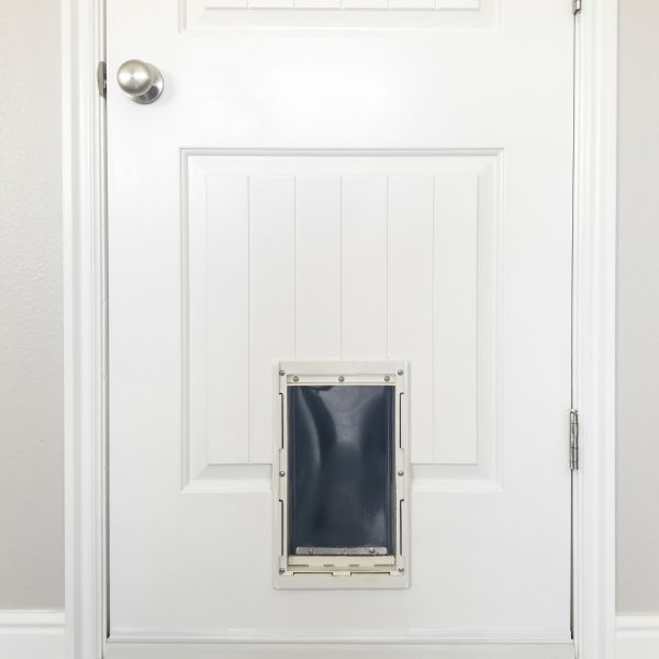 Pet Door Repair in Cartersville