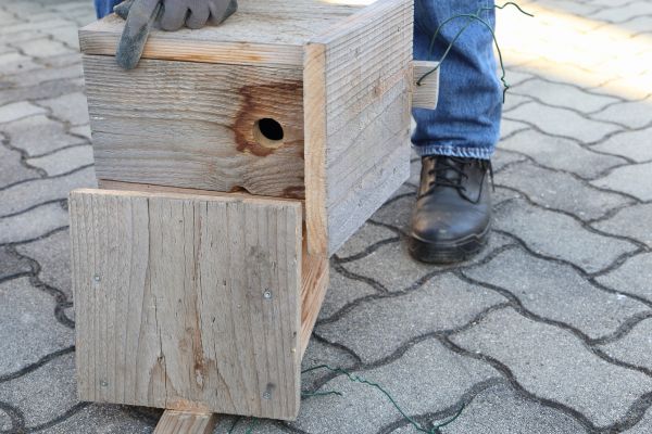 Birdhouse Mounting in Cartersville